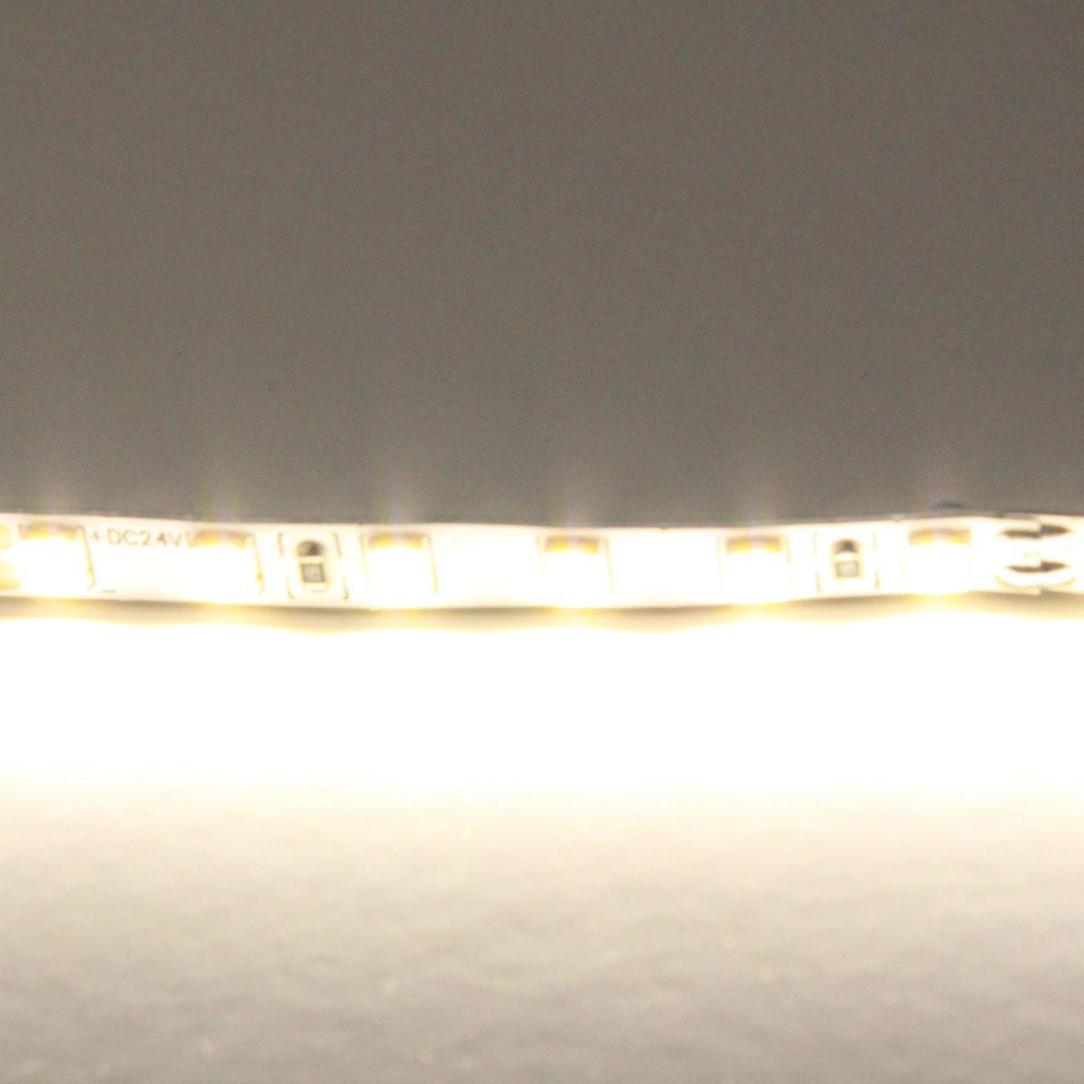 фото светодиодная лента нейтрального белого свечения lightstar 12w/m 120led/m 5m 420504 | 220svet.ru