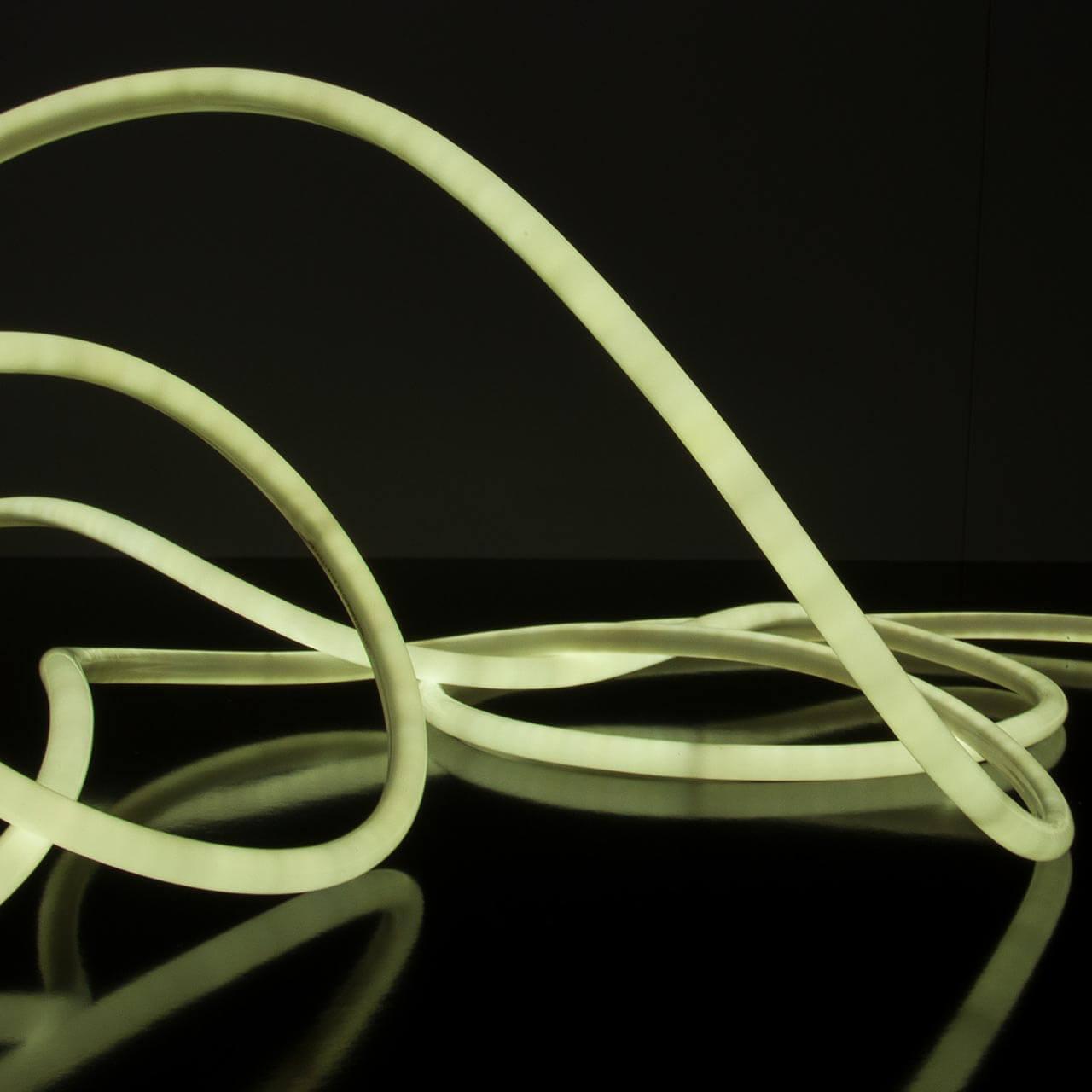 фото гибкий неон elektrostandard 9,6w/m 144led/m 2835smd холодный белый 50m a043547 | 220svet.ru