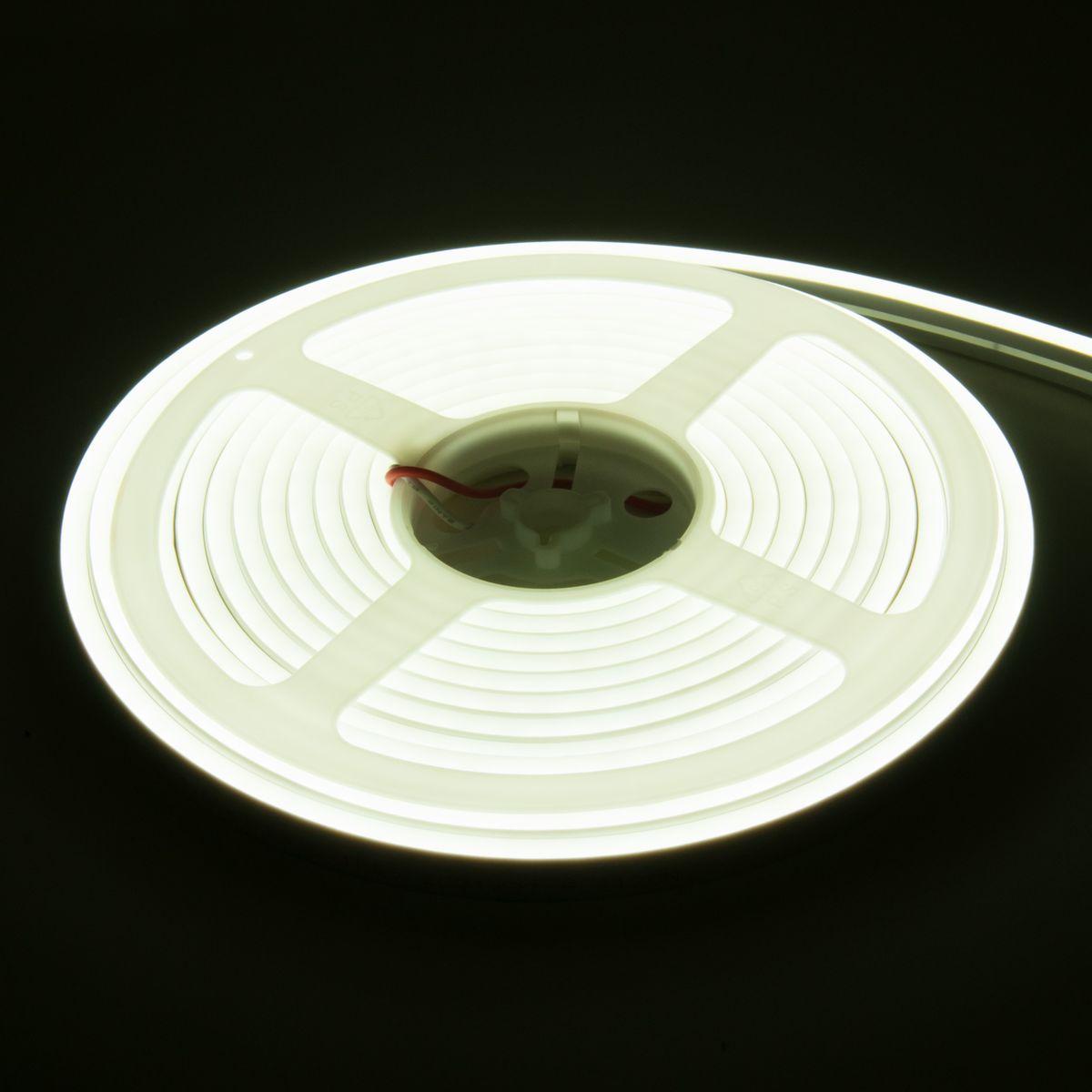 фото гибкий неон elektrostandard 10w/m 120led/m 2835smd холодный белый 5m a056260 | 220svet.ru