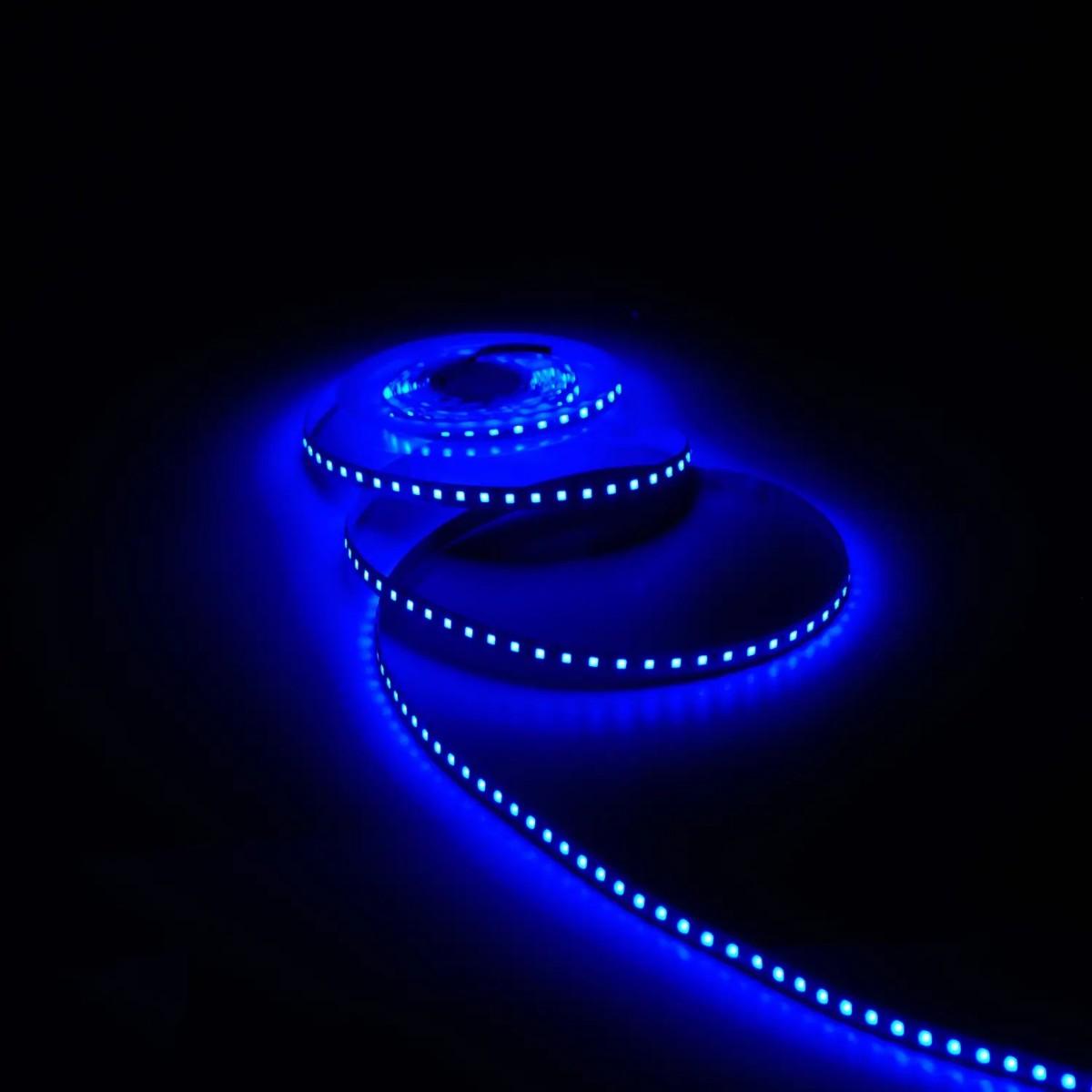 фото лента gauss 9,6w/m 120led/m 2835smd синий 3m bt067 | 220svet.ru