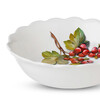 Миниатюра фото глубокая тарелка для первых блюд frutti di bosco 20,5 см nuova cer | 220svet.ru