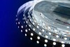 Миниатюра фото влагозащищенная лента designled 14,4w/m 60led/m 5050smd холодный белый 5m 000513 | 220svet.ru