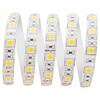 Миниатюра фото влагозащищенная лента apeyron 14,4w/m 60led/m 5050smd холодный белый 5m 00-318 | 220svet.ru