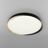 Миниатюра фото потолочный светодиодный светильник с пультом ду citilux bonny cl754451g rgb | 220svet.ru