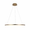 Миниатюра фото подвесной светильник loft it ring 10014l | 220svet.ru