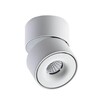 Миниатюра фото светодиодный спот italline it02-001 white | 220svet.ru
