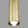Миниатюра фото подвесной светодиодный светильник elektrostandard bong 50214/1 led золото a055667 | 220svet.ru