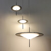 Миниатюра фото подвесной светильник imperium loft fill d39 232195-23 | 220svet.ru