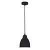 Миниатюра фото подвесной светильник arte lamp braccio a2054sp-1bk | 220svet.ru