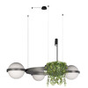 Миниатюра фото подвесной светильник loft it jardin 10121/3 dark grey | 220svet.ru