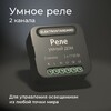 Миниатюра фото умное двухканальное реле elektrostandard wi-fi 76007/00 | 220svet.ru