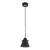 Миниатюра фото подвесной светильник f-promo rigor 2844-1p | 220svet.ru