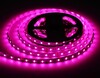 Миниатюра фото светодиодная лента rgbw+холодный белый ambrella light 10w/m 60led/m 5050smd rgbw+6500к 5m gs4403 | 220svet.ru