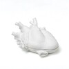 Миниатюра фото шкатулка love in a box seletti 09918 | 220svet.ru