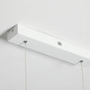 Миниатюра фото подвесной светильник imperium loft squirrel 220660-23 | 220svet.ru