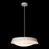 Миниатюра фото подвесной светильник loft it petale 10256p white | 220svet.ru