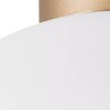 Миниатюра фото настенно-потолочный светильник lightstar globo 812033 | 220svet.ru