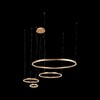 Миниатюра фото подвесной светильник loft it ring 10017/4s | 220svet.ru