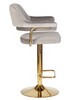 Миниатюра фото стул барный dobrin charly gold lm-5019-n_g-m_v-mj9-75-11307 | 220svet.ru