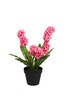 Миниатюра фото гиацинт в горшочке розовый garda decor 8j-k0013/1 | 220svet.ru