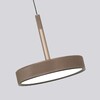 Миниатюра фото подвесной светодиодный светильник favourite piller 4509-1p | 220svet.ru