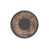 Миниатюра фото настенный светодиодный светильник favourite tallar 4445-1w | 220svet.ru