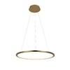 Миниатюра фото подвесной светильник loft it ring 10014m | 220svet.ru