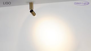 Миниатюра фото потолочный светильник odeon light ligo 7136/8cl белый | 220svet.ru